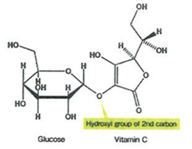 비타민 C 유도체 아스코빌글루코사이드 (Ascorbyl glucoside)