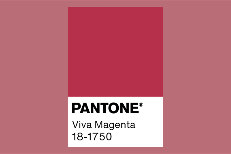 팬톤 2023 올해의 컬러 '비바 마젠타(Viva Magenta)' / pantone color of the year 2023 / 올해의 색상