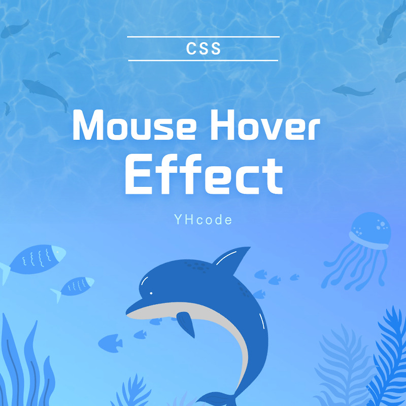 Mouse Hover Effect 애니메이션