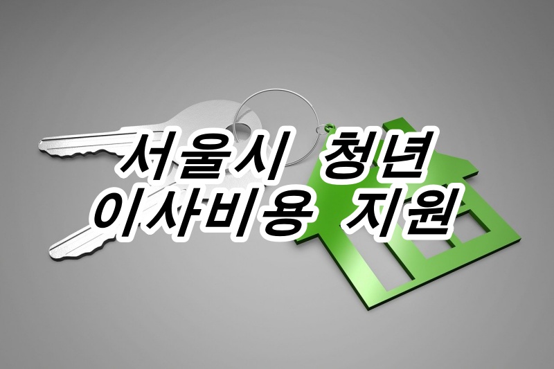 서울 청년 이사비용 40만원 지원, 서울시 청년 이사비 지원금 받는 방법