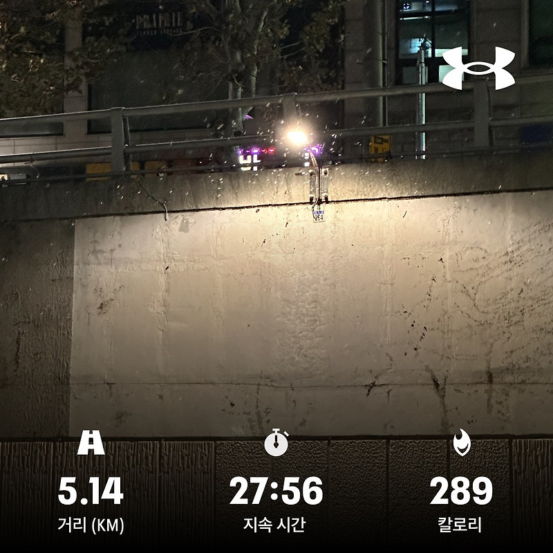 3주 동안 평일 매일 새벽 5km 달리기 후기(공복 유산소, 다이어트 가능할까?)