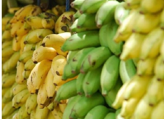 바나나를 먹는...먹어야 하는 이유 Health Benefits of Bananas