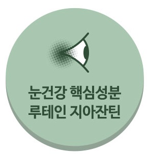 루테인 지아잔틴 효능 추천(feat. 아스타잔틴)