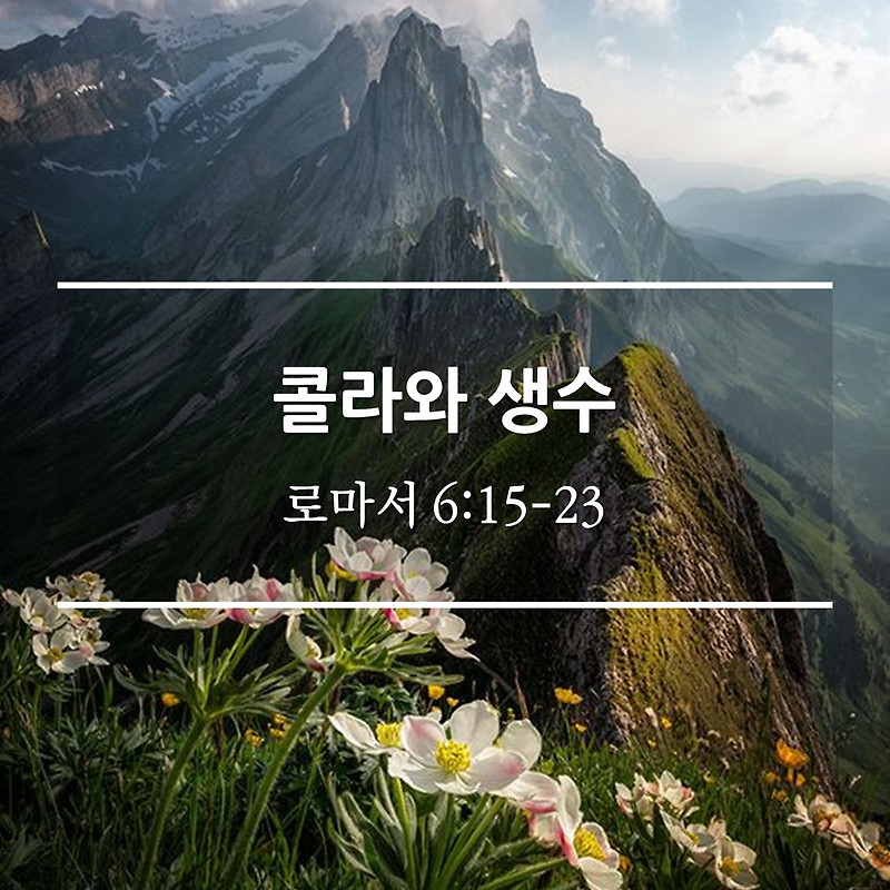 콜라와 생수 / 롬 6:15-23