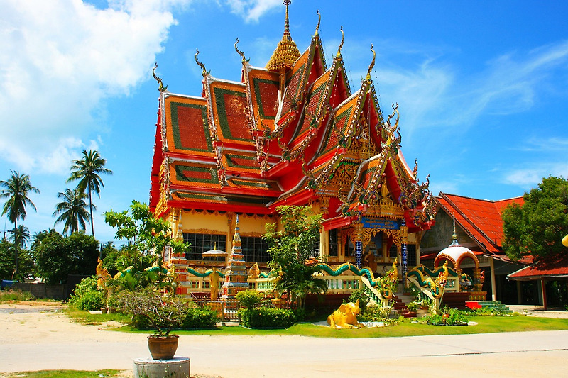 코로나: 태국 여행 관광객 늘었지만, 아직은 팬데믹 전 비교 수준 이하