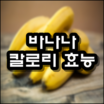 바나나 칼로리 효능에 대해