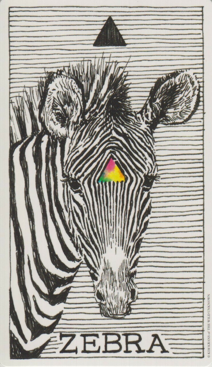 [오라클카드배우기]The wild unknown animal spirit 와일드 언노운 애니멀 스피릿 Zebra 얼룩말 해석 및 의미
