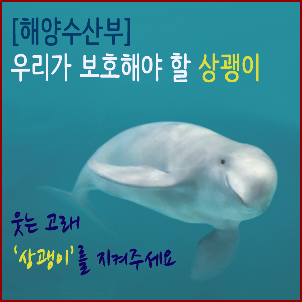 [해양수산부] 웃는 고래 ‘상괭이’를 지켜주세요