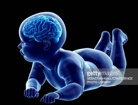 우리아이를 똑똑하게~영유아 두뇌발달을 위한 방법은 어떤것이 있을까요?