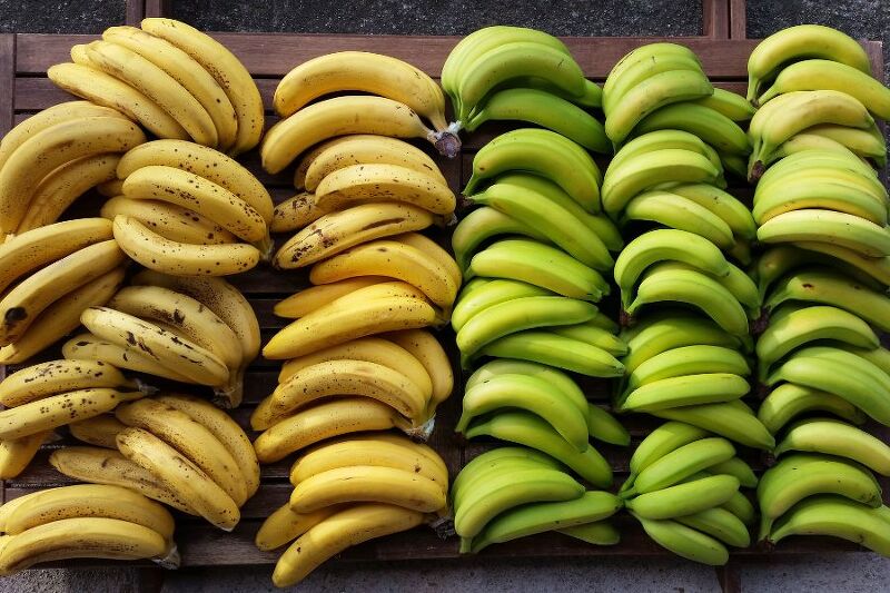 바나나 효능 부작용 칼로리는 위장 항암에 좋아?
