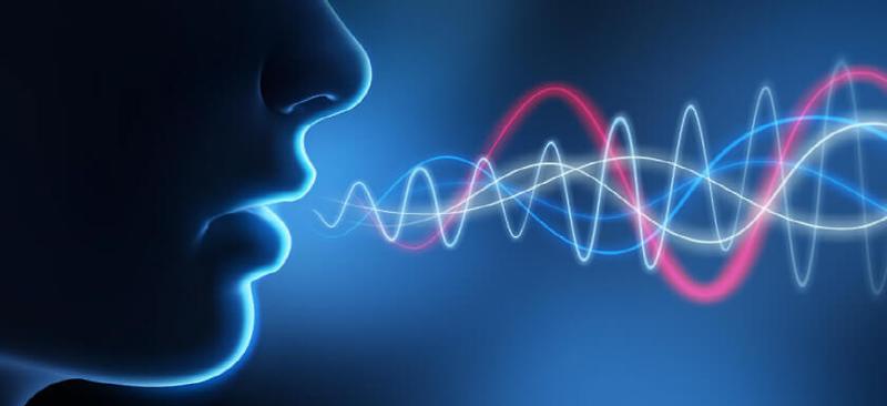 소음상황에서 음성 명료도를 향상시키는 보청기 기술 (1)