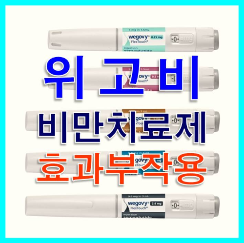 위고비 효과 부작용 유의사항 가격 알아보기