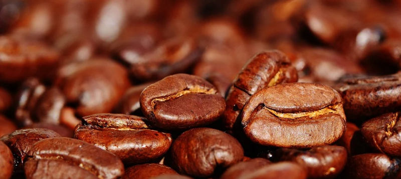 파킨슨병 치료에 커피 섭취가 도움