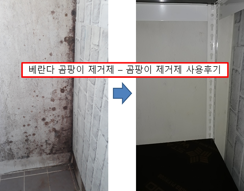 베란다 곰팡이 제거제 사용후기 - 에코후레쉬