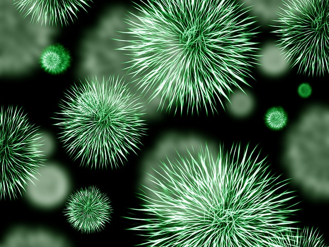 중국 우한 폐렴사태 신종 코로나 바이러스 확인되다