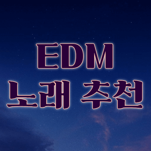 [EDM] 방구석 파티 개장 - 춤추고 싶은 EDM 노래 추천