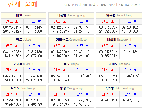 [물때표 보는법] 갯벌 체험 시간 알아보고 조개 캐기!