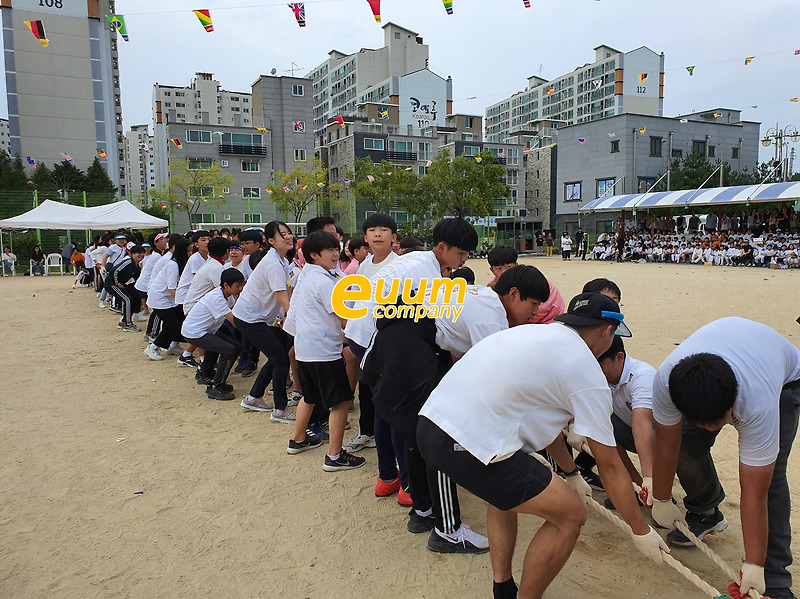 충남 계룡 초등학교 운동회 프로그램 진행 전문업체 소개