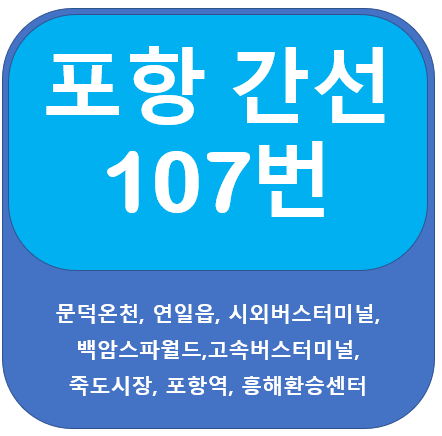 포항 107번 버스 노선, 문덕, 시외터미널 ↔ 죽도시장, 흥해