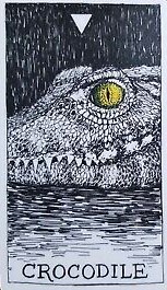 [오라클카드배우기/와일드언노운애니멀스피릿]The Wild Unknown Animal Spirit Crocodile 악어 해석 및 의미