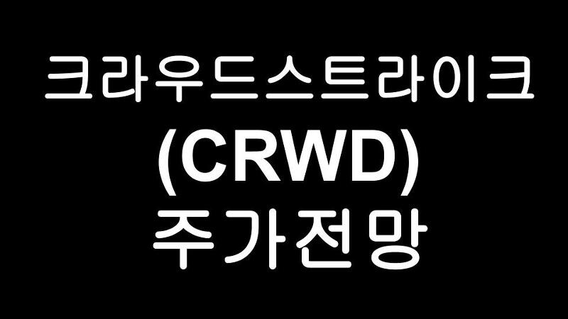 크라우드스트라이크(CRWD) 주가 - 미국 사이버 보안 기술 회사