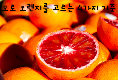 모로 오렌지 모로실 다이어트 이 글로 끝내세요.