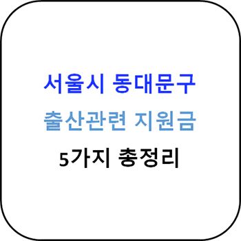 2024년 서울시 동대문구 출산지원금 5종 완벽가이드