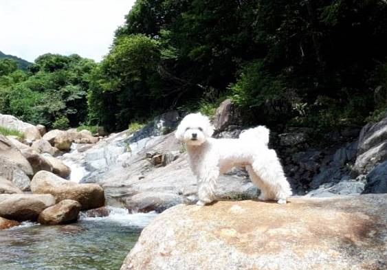 문화체육관광부, '비무장지대 평화관광 정책토론회' 개최