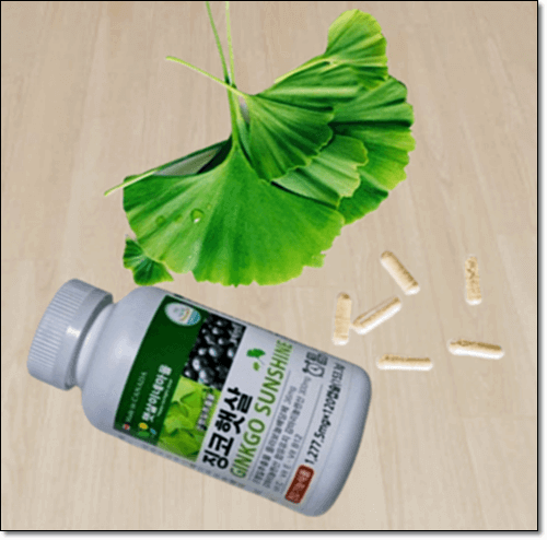 은행잎(징코 빌로바) 추출물 효능 및 복용량, 부작용