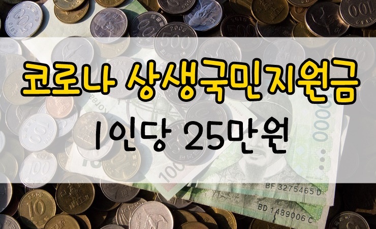 코로나 상생 국민지원금 1인당 25만원 총정리 5차 재난지원금