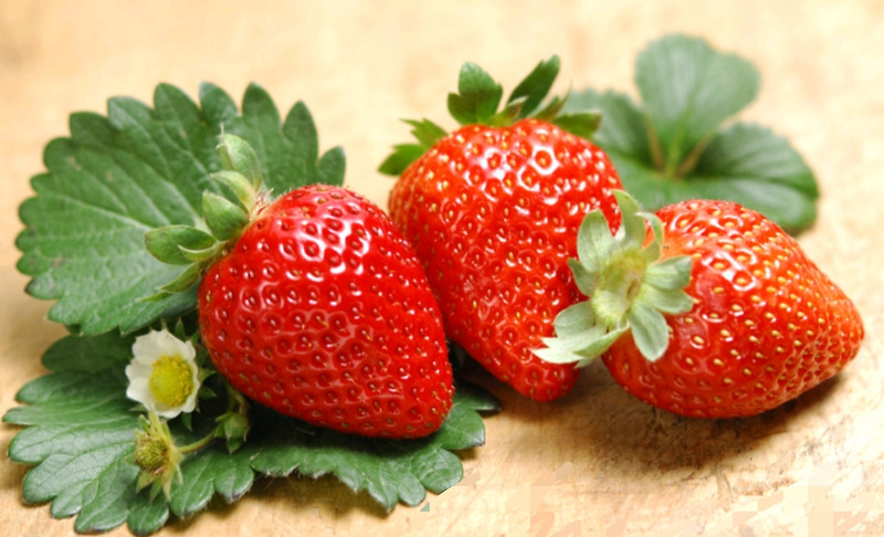 딸기 효능과 딸기의 역사 및 정보
