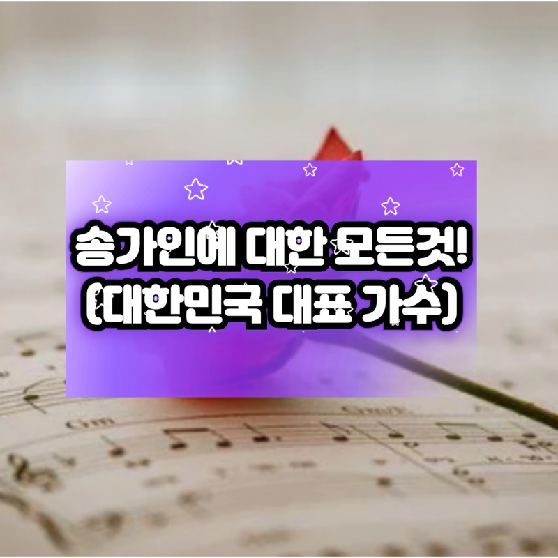 [송가인 프로필] 음반-방송-노래-수상 등 대한민국 대표 여자가수 인정!