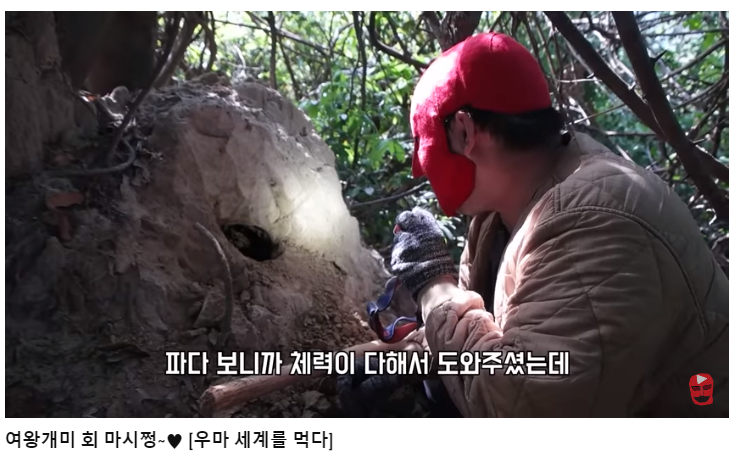 한국의 베어그릴스 100만 유튜버 우마 복귀 '10개월 만에 복귀하는 유튜버'