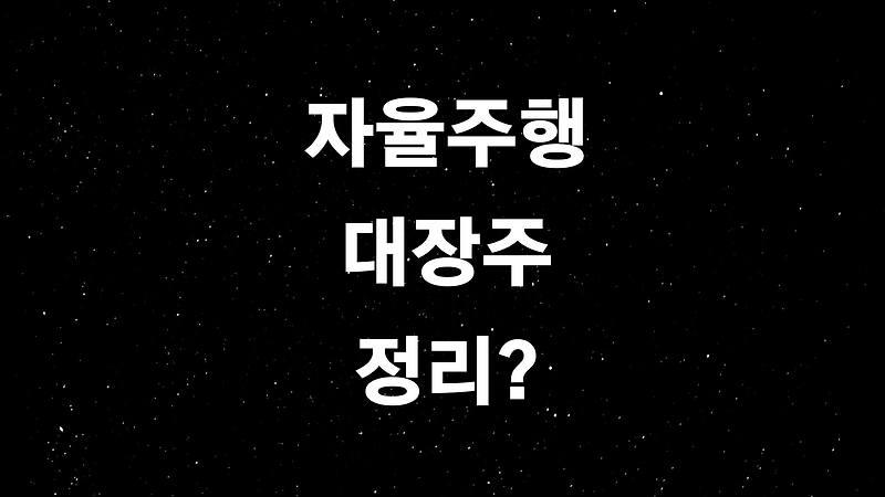 자율주행 대장주 (ft. 글로벌 공룡기업 테슬라부터 국내 기업현황까지?)