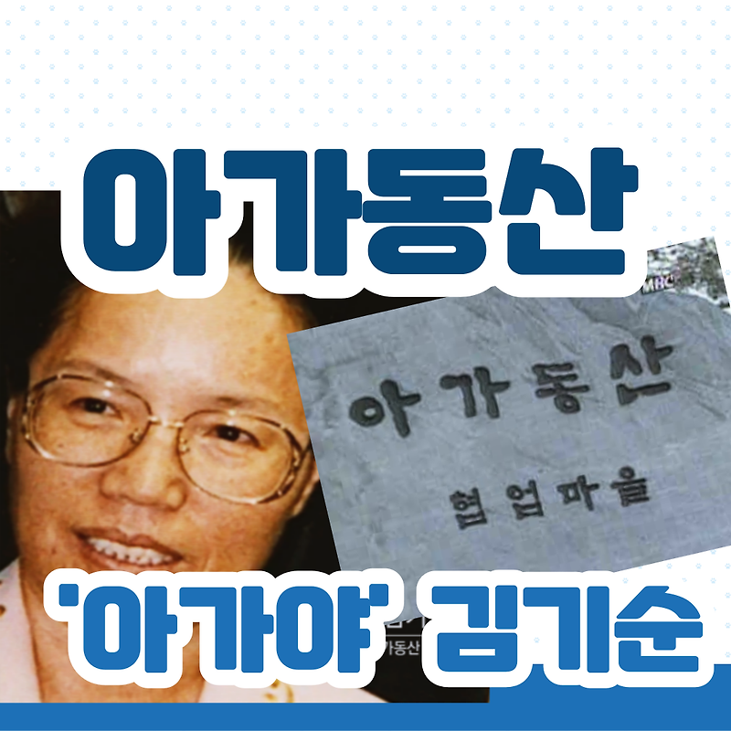 아가동산 '아가야 김기순' 사건/신나라레코드/신나라네이쳐팜