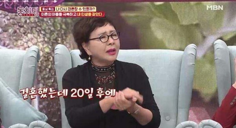 김형자 나이 배우 전남편 직업 이혼 재혼 결혼 가족 자녀 리즈 프로필