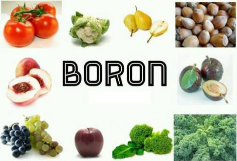 관절염에 좋은 붕소(Boron) 효능 부작용  하루권장량