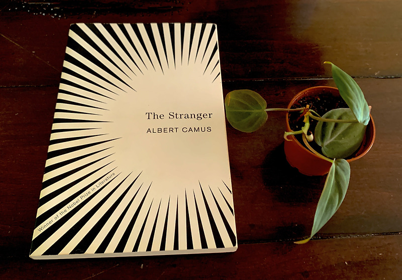 The Stranger by Albert Camus 리뷰