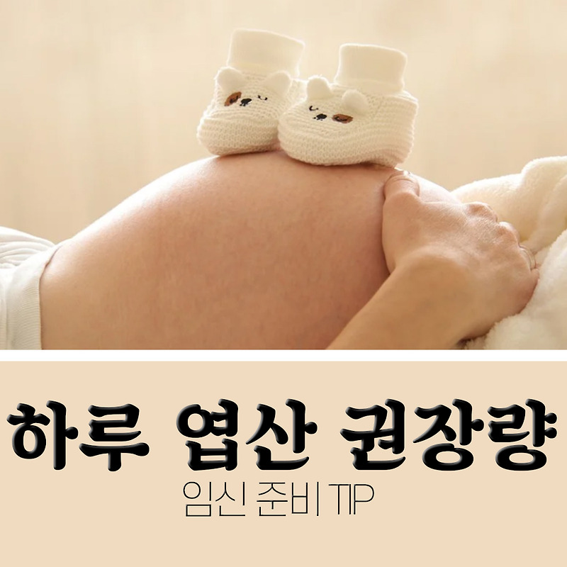 여자 엽산 하루 권장량은? (임신 전 VS 임신 후)