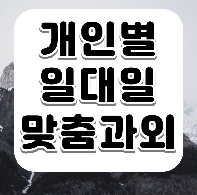 신연수동 중등 영어과외 중학생 고등학생 연수동 고등 영어과외 고1 고2 고3 수능 입시 기말 내신 전문 수업