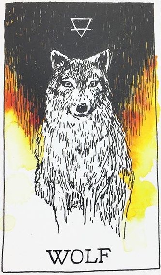 [오라클카드배우기/와일드언노운애니멀스피릿]The Wild Unknown Animal Spirit Wolf 늑대 해석 및 의미