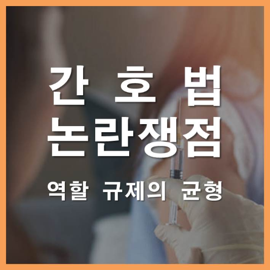 간호법 논란 쟁점 준법투쟁 역할과 규제의 균형