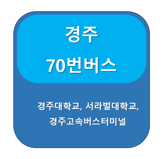경주 70번 버스 노선 정보, 신경주역 ↔ 동천동