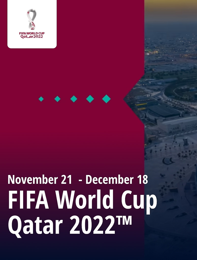 2022 카타르 월드컵