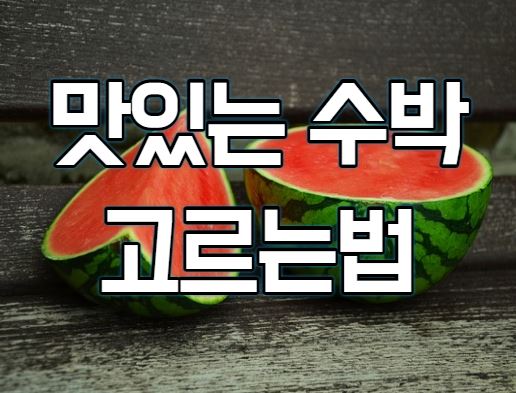 맛있는 수박 고르는법(feat.칼로리,효능)