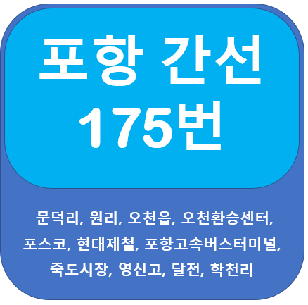 포항 175번 버스 노선 정보 안내(문덕 ~ 달전)
