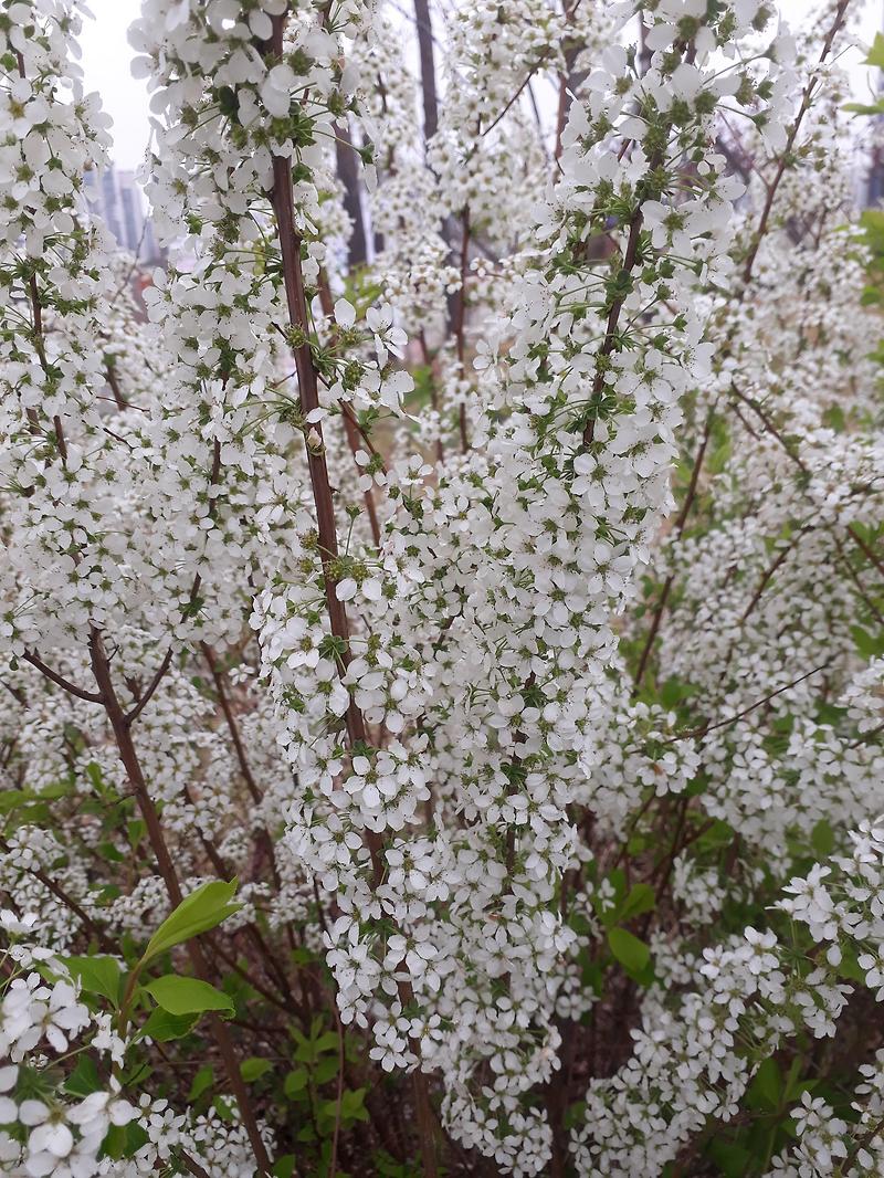 옥정 체육공원