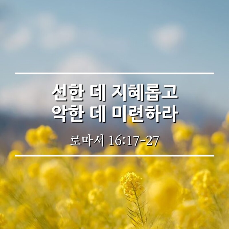 선한 데 지혜롭고 악한 데 미련하라 / 롬 16:17-27
