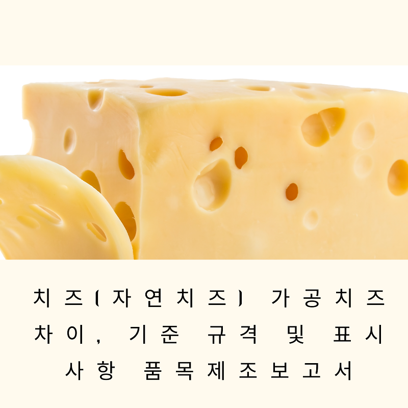 치즈(자연치즈) 가공치즈 차이, 기준 규격 및 표시 사항 품목제조보고서 가이드 라인