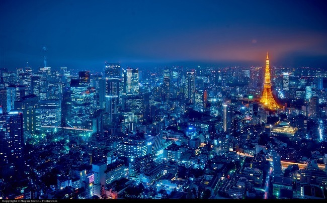 분위기 있는 일본의 수도 도쿄(Tokyo, 東京) 의 현재 모습 감성 사진짤 모음